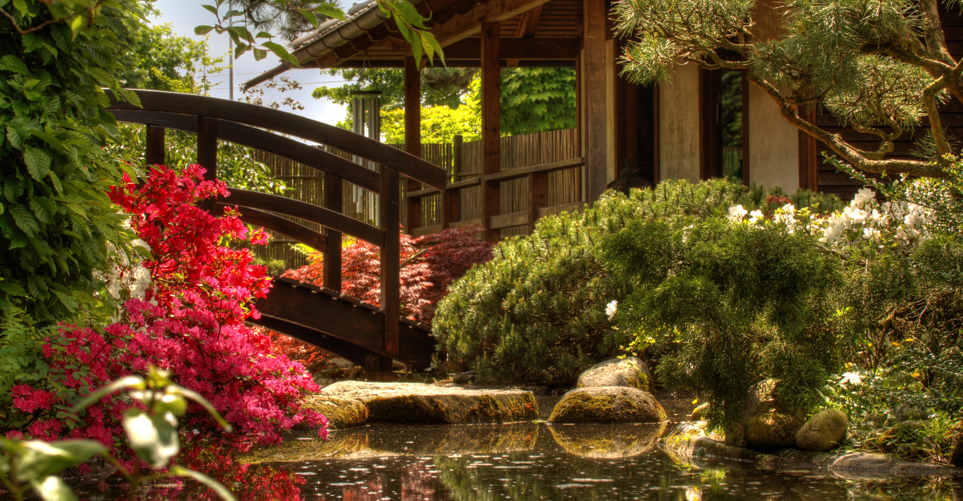 Japanischer Garten mit Holzbrücke und blühenden Azaleen im Botanikgarten Göllner