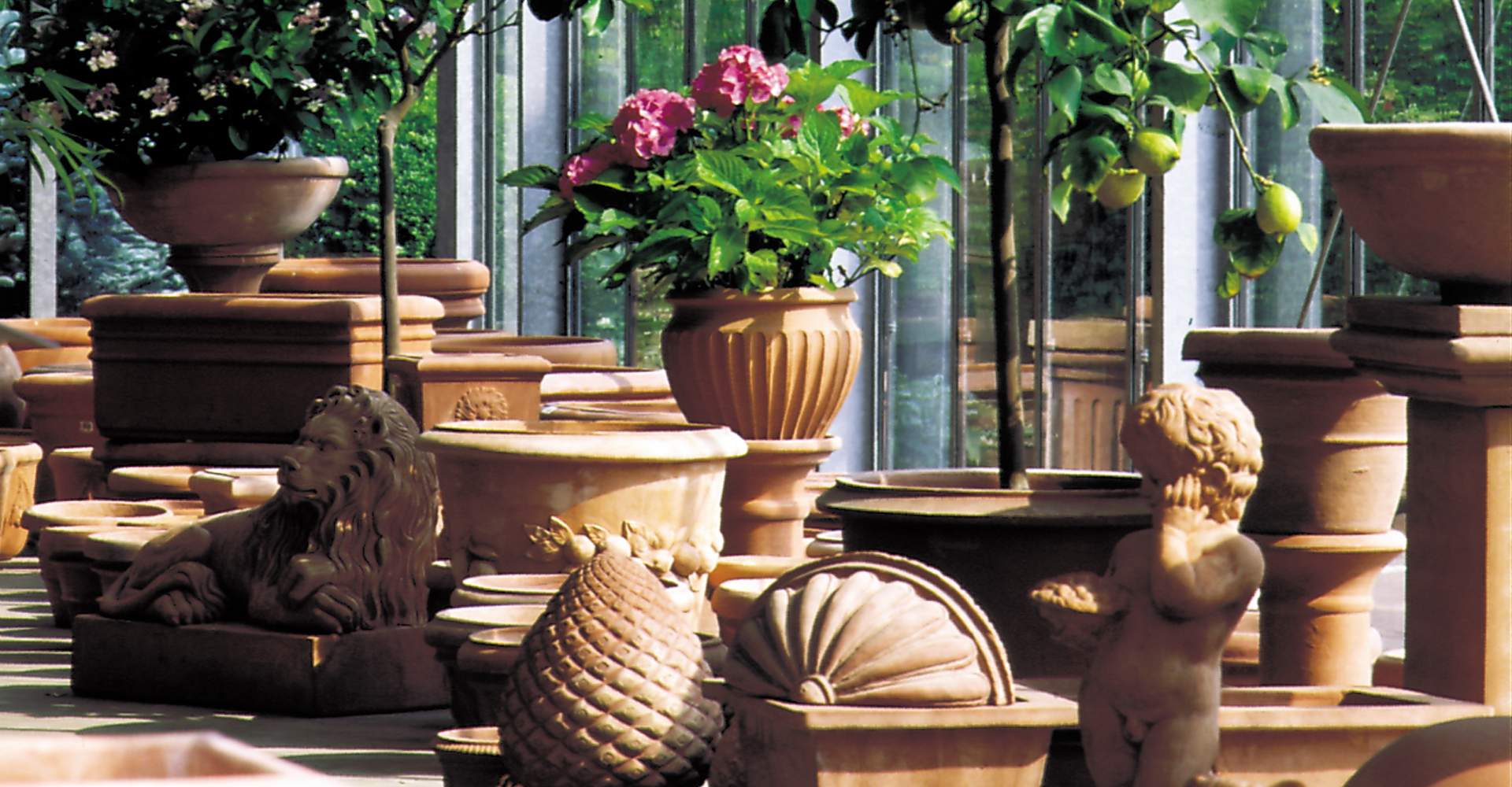 Terracotta im Gewächshaus