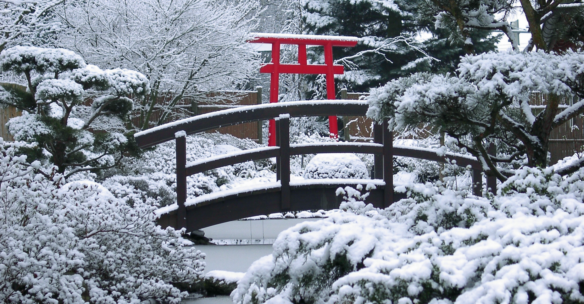Winter im japanischen Garten
